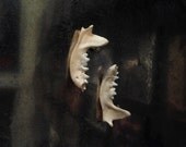 Real Mink Jaw Stud Earrings