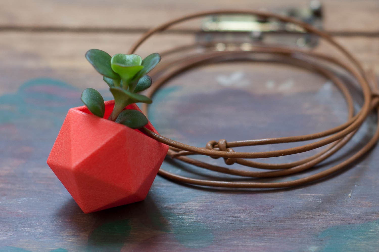 Icosahedron Wearable Planter in Coral