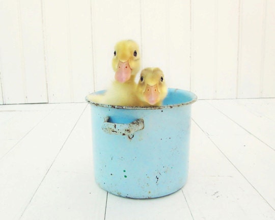 Nursery Wall Art, Duck Photography, Twins Decor, Baby Boy Nursery, Funny Bathroom Art Blue Yellow White Kitchen Baby Ducks Print "Duck Soup"