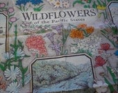 Vintage Wild Flowers Of The Pacific States Scarf