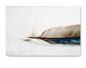 Feather photo, feather art, nature photo, nature print, blue jay feather, feather photography, feather print, feather art print, grey, gray - semisweetstudios