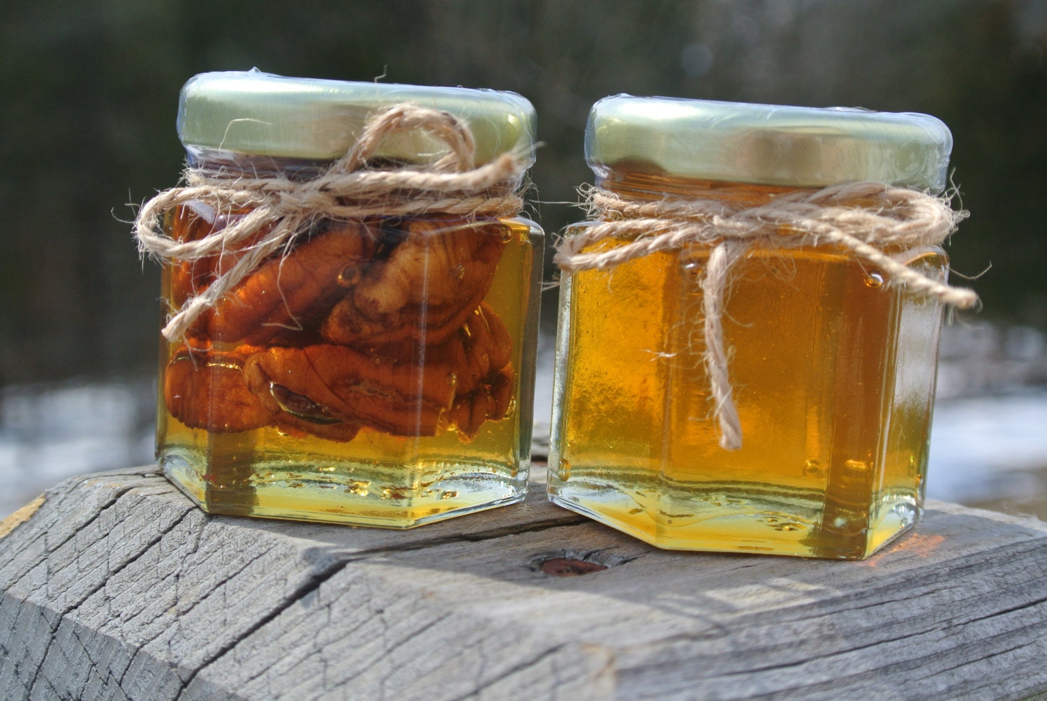 Wedding Favors Honey & Pecans In Honey Combo Hex Jars 24