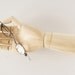 Wood Manikin / Mannequin Hand (12" high) - Perfect for drawing, decoration, or display