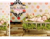 SALE 2fer set of 2- 5'x5' PACKAGE DEAL Vinyl Backdrops Jessa Wood Floor and Vintage Dots