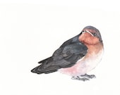 Swallow watercolor painting- print of watercolor painting- A4  print - Splodgepodge