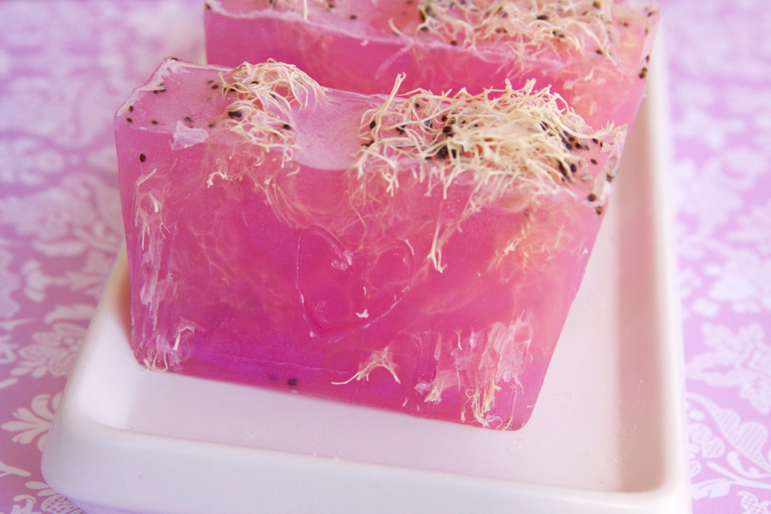 Loofah Soap -Cranberry Fig Loofah Soap