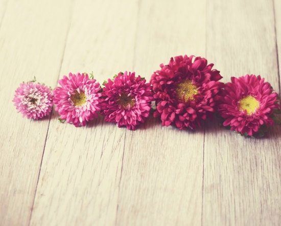 Rustic flower photograph- floral, pink, red, cream, romantic, whimsical, spring, feminine, 8x10 print, fine art photography