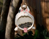 Tabby Cat disguised as a Bird Feeder