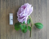 Chocolate Rosa Lip Balm - Coconut Oil, Beeswax, Shea Butter, Cocoa, Rose