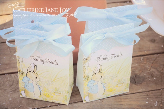 Here comes Peter - Custom printable Treat bags - Hand Illustrated by Catherine Jane