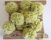 Light Green Pom-Pom Garland (upcycled)