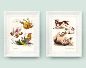 Set of 2 Vintage Nursery Prints. Animal Sounds Print for Babys Bedroom. 6x10 Farm Print Rooster Dog Duck
