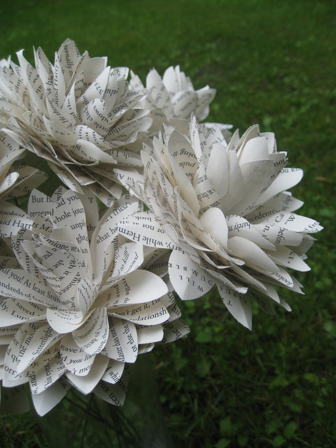 Harry Potter Dahlias. Perfect for First Anniversary, Weddings, Birthdays. Unique Gift. CUSTOM ORDERS WELCOME.
