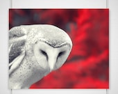 Dramatic Owl Photography / fairy tale forest gothic woodland winter / scarlet red black white / 8x10 photograph print /  'Lovely Bloodflow''