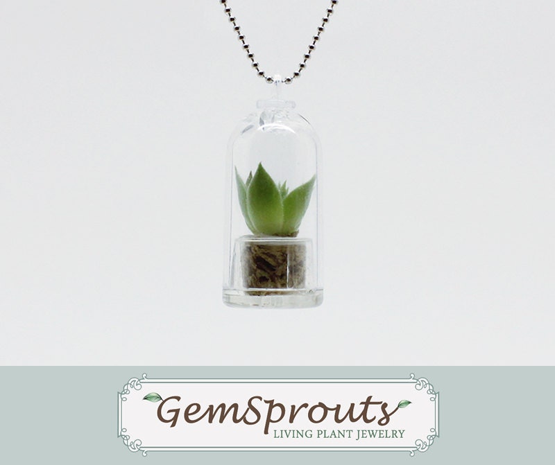GemSprouts - Hen & Chicks Living Plant Necklace with Ballchain