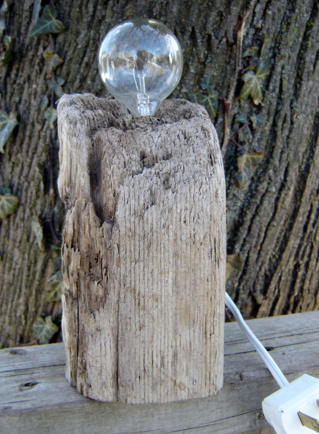 Limited Fragment Driftwood Light