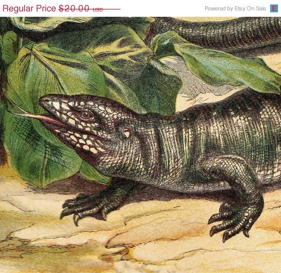 1874 Lizards Antique  Print  Color Lithograph Art Print