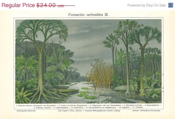 Extinct Plants Antique Color Lithograph Carboniferous Ferns