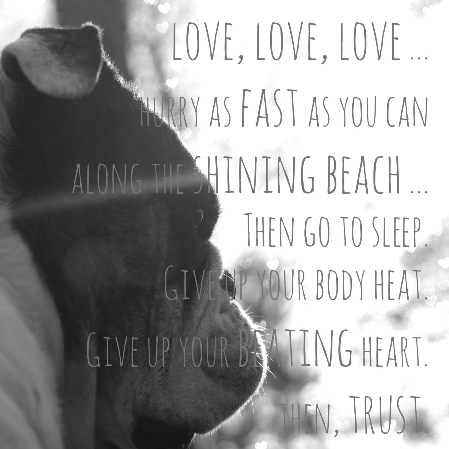 Dog Photography - Inspirational Quote by Mary Oliver - English Bulldog - Black and White Photography - Beach Quote and Photography