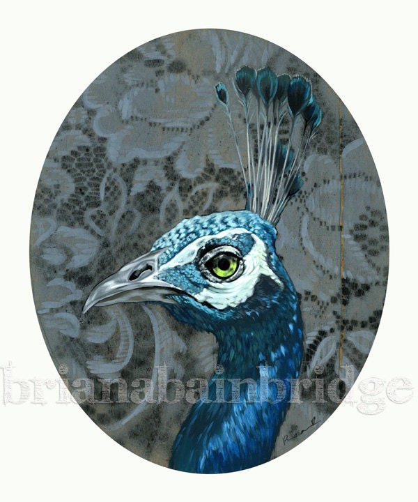 peacock portrait signed archival print.