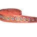 Sequined Embroidered Fabric Ribbon Trim Gold on Rust Color Silk Fabric, 2 yards