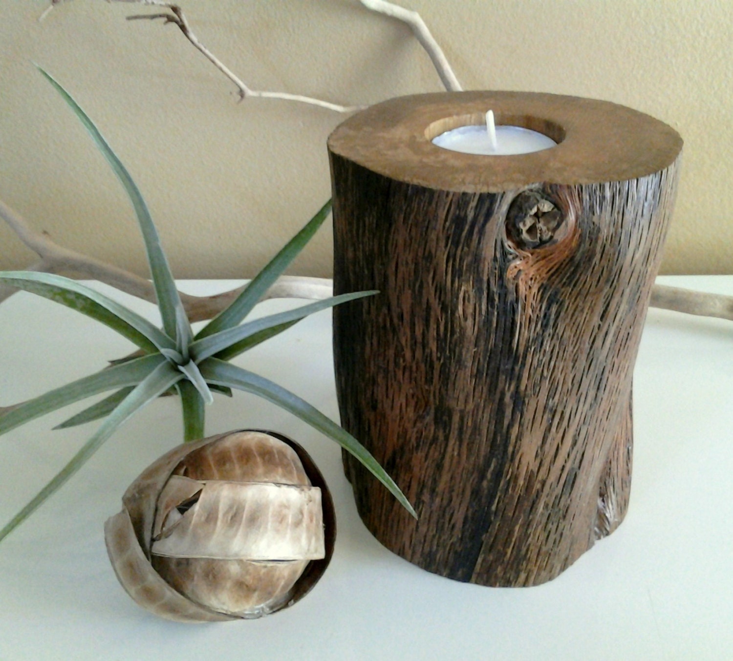 Oak tree trunk candleholder - Unique - One of a kind - Tree trunks - Tree slices