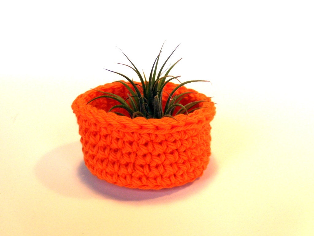 Garden Container Bowl For Ionantha Air Plant