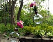 Hanging Glass Vase or Hanging Terrarium