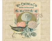 Vintage seed packet Pink Blue Bird Digital download image for iron on fabric transfer burlap decoupage pillows papercraft No. 1835