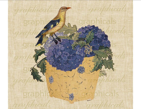 Purple yellow Hydrangea Hortensia Bird Digital download graphic image for iron on fabric transfer burlap decoupage paper totes No. 1823