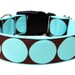 Aqua Dog Collar 1.5" Large Dog Collar