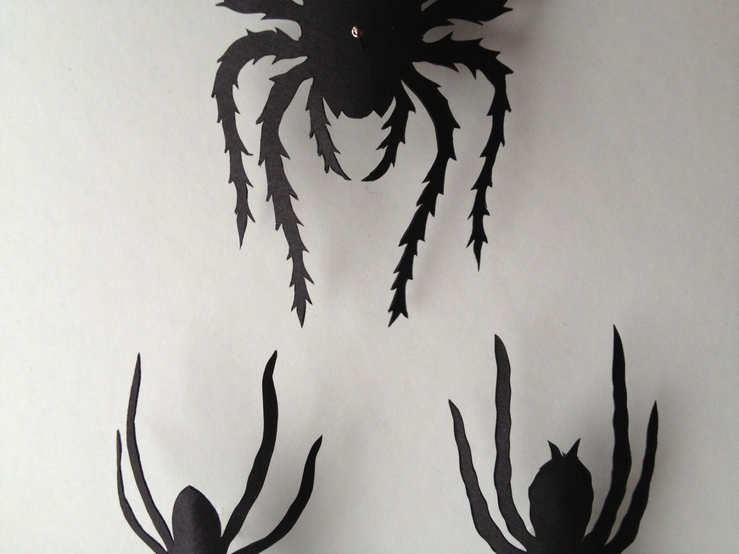 Reserved- Jason & Ian's Registry (Large Spider Collection)
