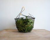 Vintage French  Wire Basket // Country Egg Basket // Salad Spinner // Collapsable // rustic green yellow metallic // picnic