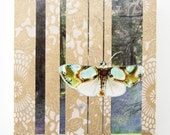 Moths Can Be Pretty collage on wood block