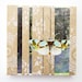 Moths Can Be Pretty collage on wood block