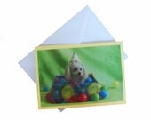 Birthday Greeting Card, Miniature Toy Poodle Birthday Card, Blank Birthday Party Card