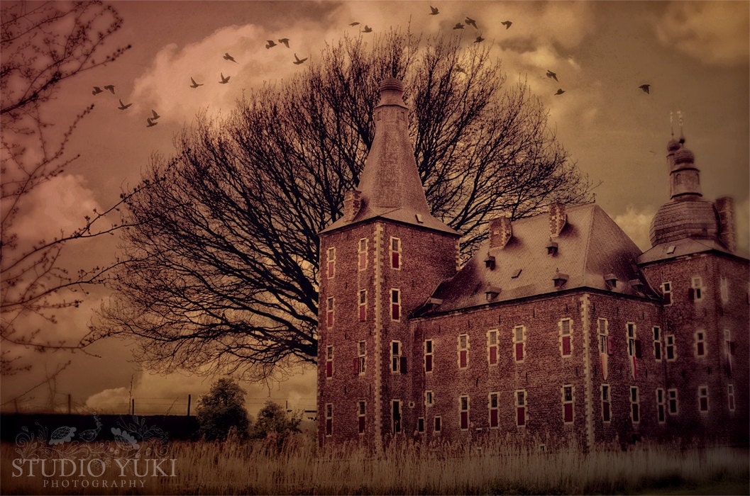 Surreal Photography, Gothic, Fairytale Art, Castle, Tree, Birds, Enchanted, Dark, Dreamworld  - The Impossible Dream