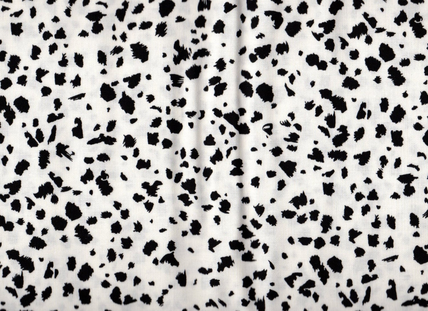 Black and White Fabric, Dalmation Fabric, Dalmations, Spot by Blank Quilting, 1 yard Fabric