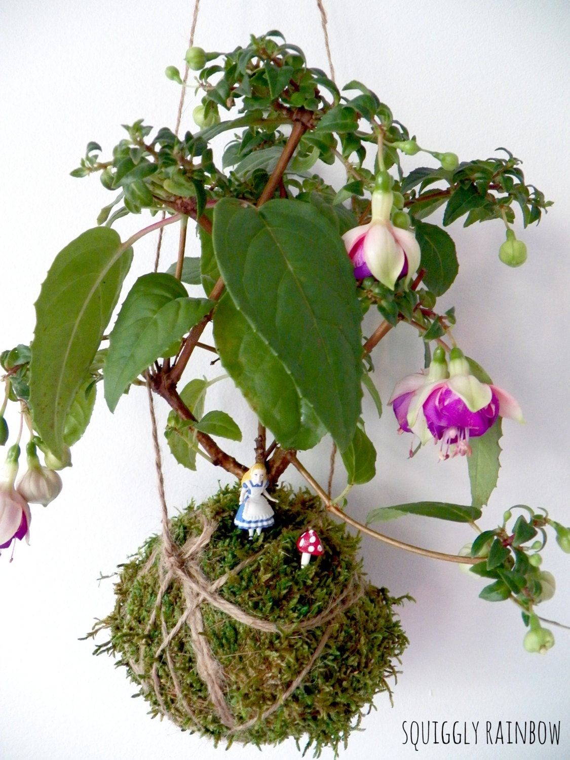 Fuschia Kokedama - Hanging Hill