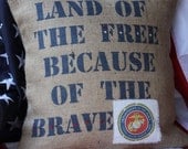 Land of the Free NAVY emblem Pillow Cover in BLUE