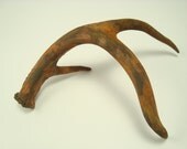 Deer Painted Antler Art Sculpture with Rusty Patina