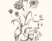 IMPROVED 5x7" PRINT of original drawing "Blooming Heart" on NEW ivory paper- graphite, art, anatomy, floral, heart, valentine