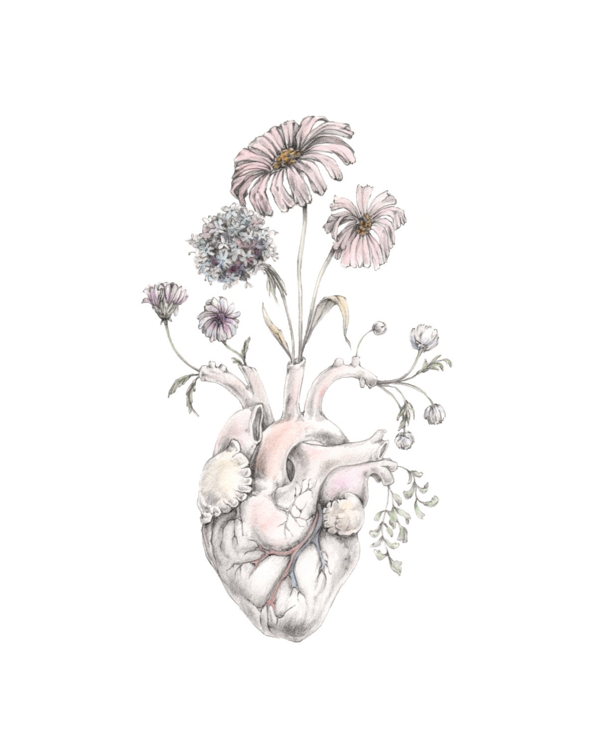 MINI PRINT of original drawing/watercolor "Blooming Heart"- painting, art, anatomy, skull, nautical