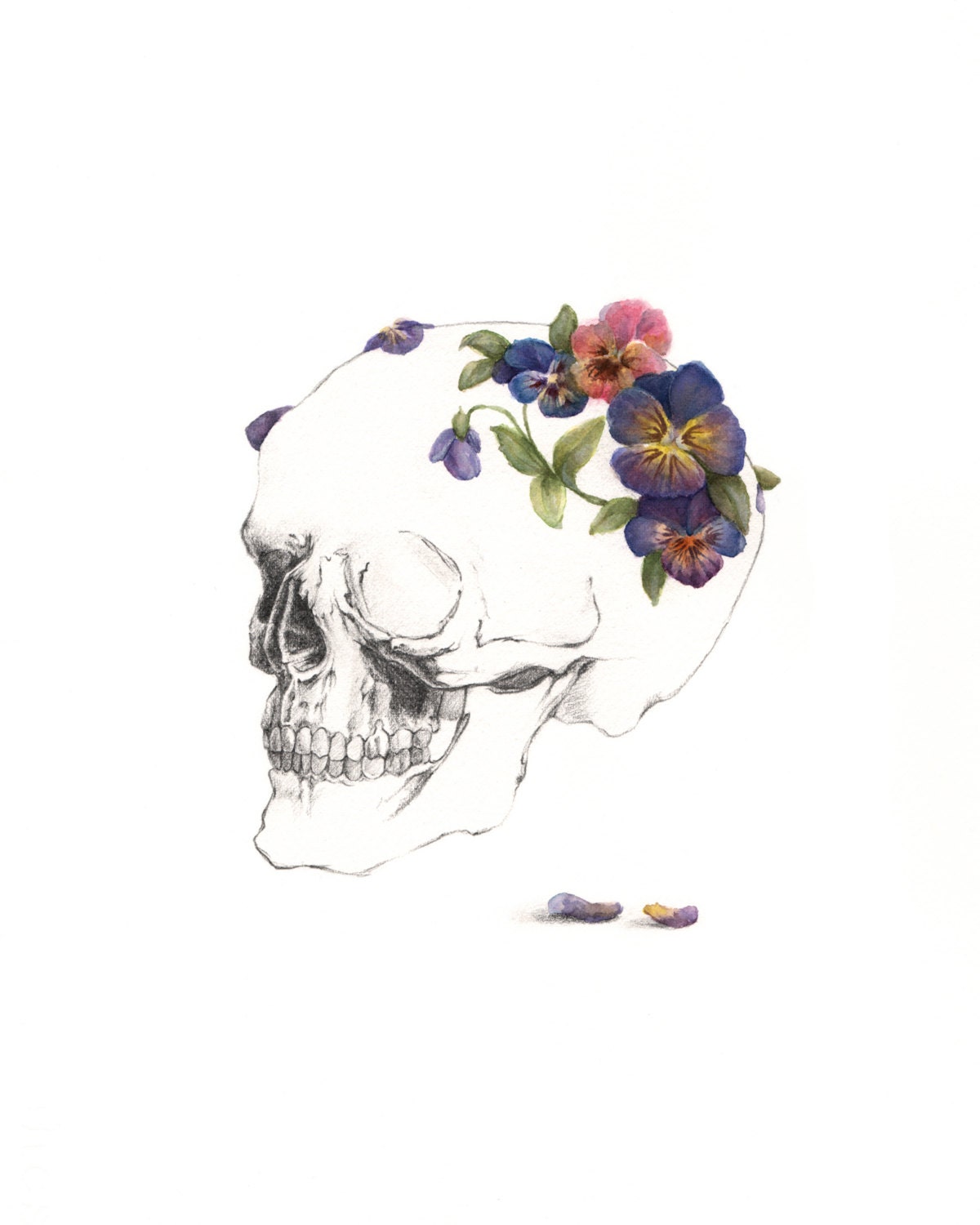 MINI PRINT of original drawing/watercolor "Pansy For Your Thoughts"- painting, art, anatomy, skull, floral