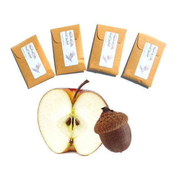4 Apples Oak Handmade Sachets, Scented Woodland Decor, Home Fragrance, Kraft Gold, Autumn Acorn, Modern Rustic, Vegan Autumn, Custom, Small