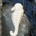 Milk & Honey soap Sea-Horse shaped