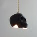 Skull Pendant Light