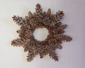Frosty Pine Cone Natural Wreath