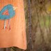 Orange sherbet sweater dress with birdie applique and flutter sleeves,  5/6T
