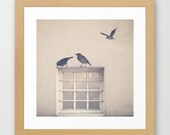 SALE, nursery art, Photography Nursery art Pastel  Home Decor Bird Vintage Retro Love Photography French Decor Hipster Nursery Decor